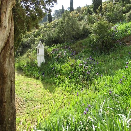 Casa Burgues Villa Beceite Eksteriør bilde